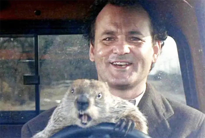Groundhog driving car with man in drivers seat.